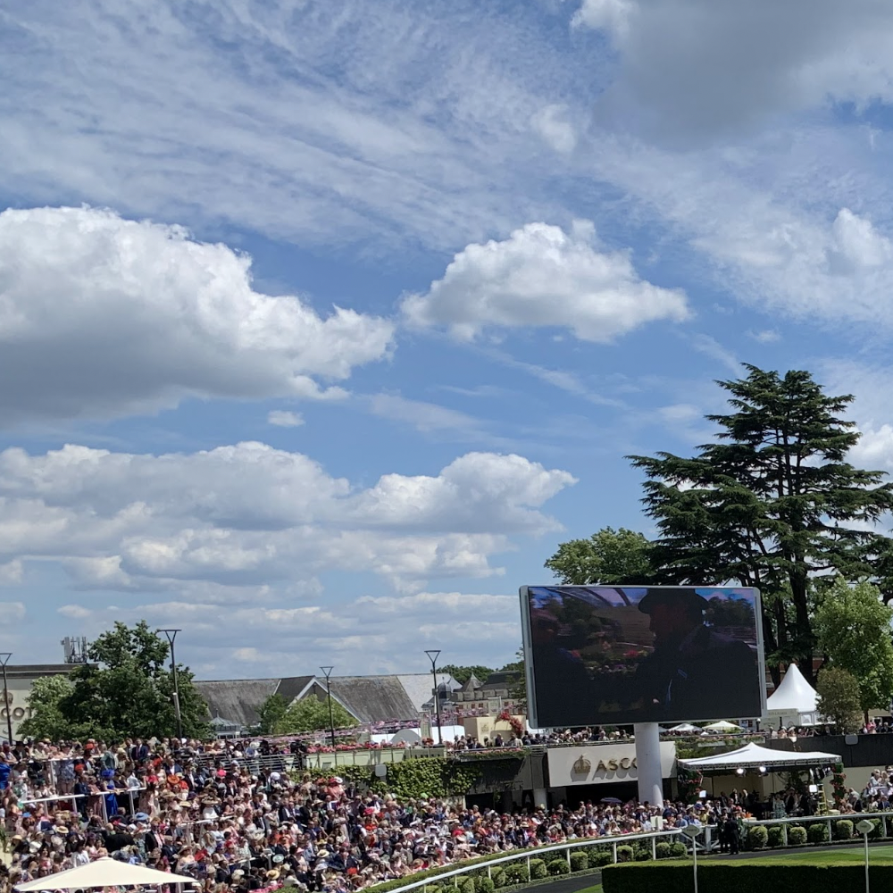Why Media Joins Clients for a Day Out at Royal Ascot 2024