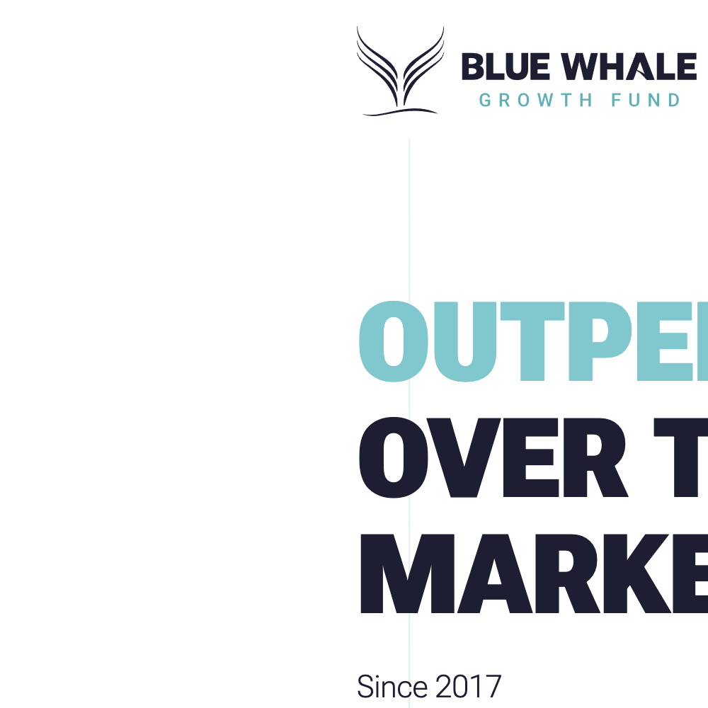 Why Media Launches the Evolution of Global Investment Company Blue Whale's Website